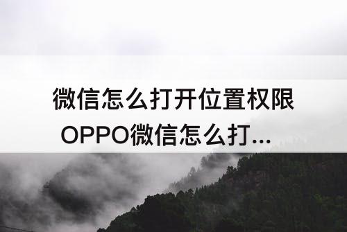 微信怎么打开位置权限 OPPO微信怎么打开位置权限
