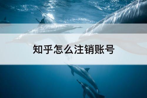 知乎怎么注销账号