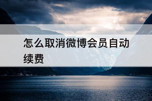 怎么取消微博会员自动续费