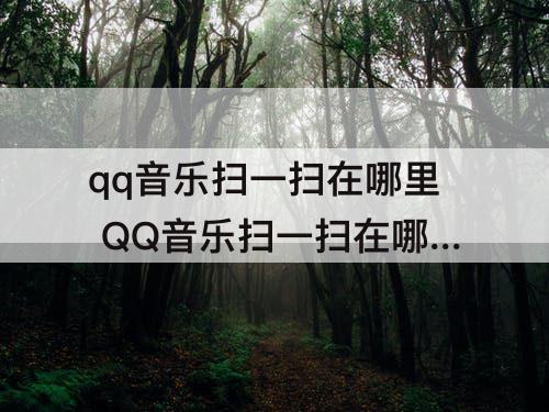 qq音乐扫一扫在哪里 QQ音乐扫一扫在哪里打开