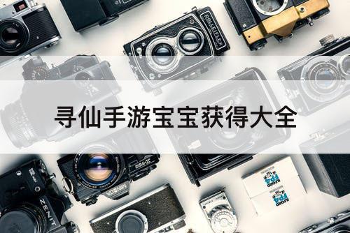 寻仙手游宝宝获得大全