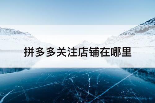 拼多多关注店铺在哪里