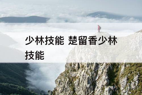 少林技能 楚留香少林技能