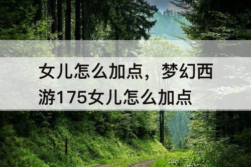 女儿怎么加点，梦幻西游175女儿怎么加点