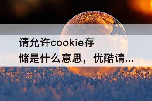请允许cookie存储是什么意思，优酷请允许cookie存储是什么意思