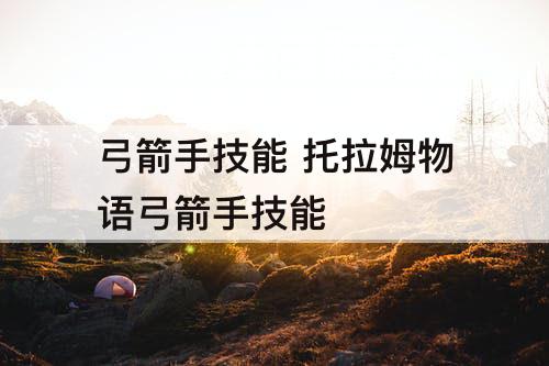 弓箭手技能 托拉姆物语弓箭手技能