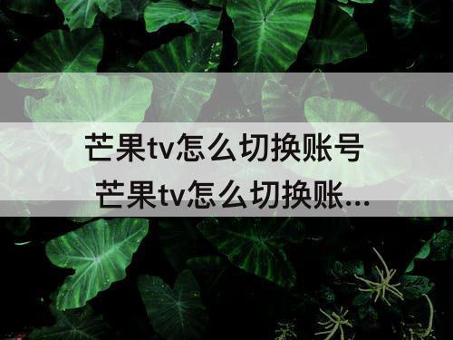 芒果tv怎么切换账号 芒果tv怎么切换账号登录苹果