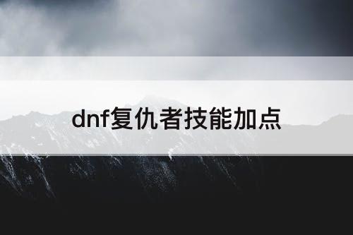 dnf复仇者技能加点