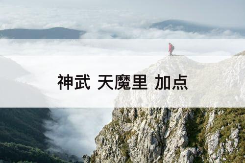 神武 天魔里 加点