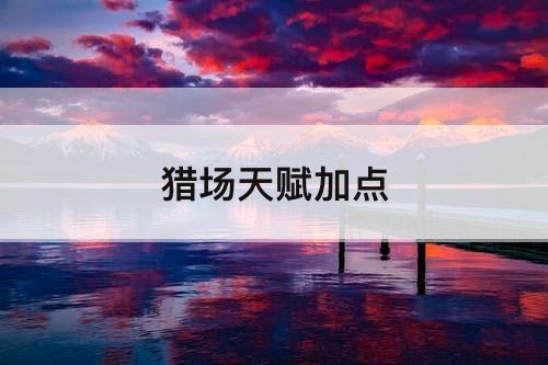 猎场天赋加点