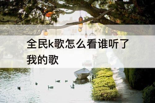 全民k歌怎么看谁听了我的歌