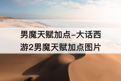 男魔天赋加点-大话西游2男魔天赋加点功率
