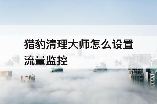 猎豹清理大师怎么设置流量监控