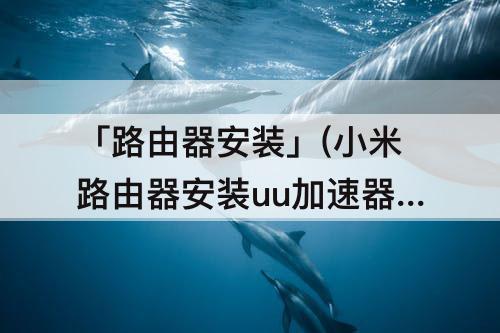「路由器安装」(小米路由器安装uu加速器失败)