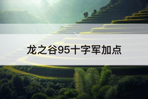 龙之谷95十字军加点