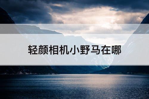 轻颜相机小野马在哪