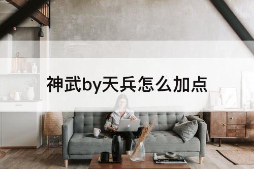 神武by天兵怎么加点