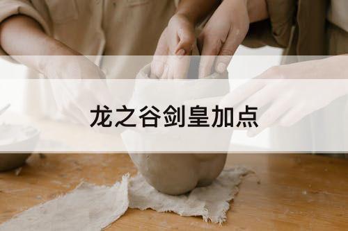 龙之谷剑皇加点