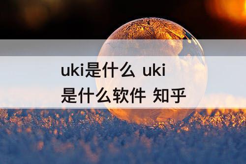 uki是什么 uki是什么软件 知乎