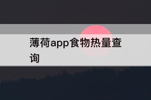 薄荷app食物热量查询