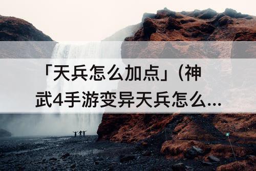 「天兵怎么加点」(神武4手游变异天兵怎么加点)