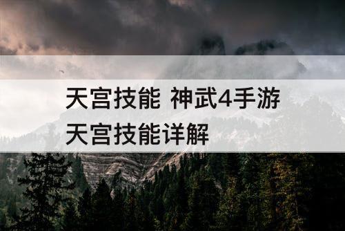 天宫技能 神武4手游天宫技能详解