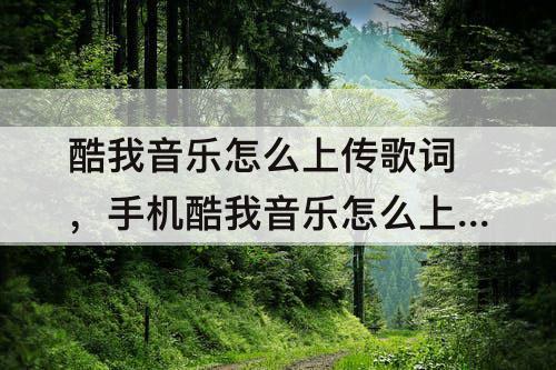 酷我音乐怎么上传歌词，手机酷我音乐怎么上传歌词