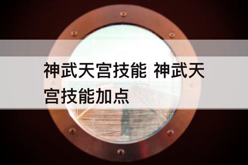 神武天宫技能 神武天宫技能加点