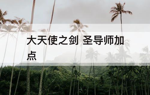 大天使之剑 圣导师加点