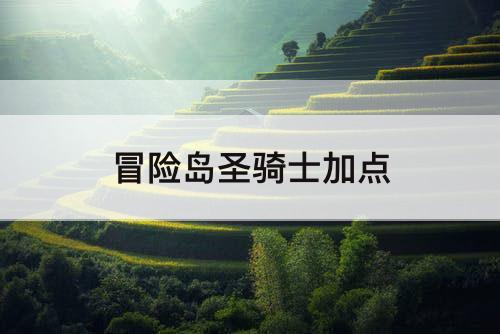 冒险岛圣骑士加点