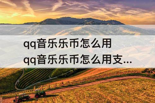 qq音乐乐币怎么用 qq音乐乐币怎么用支付宝买