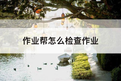 作业帮怎么检查作业