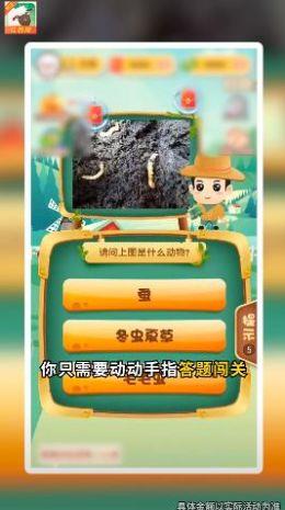 动物小派对  v3.2.9图2