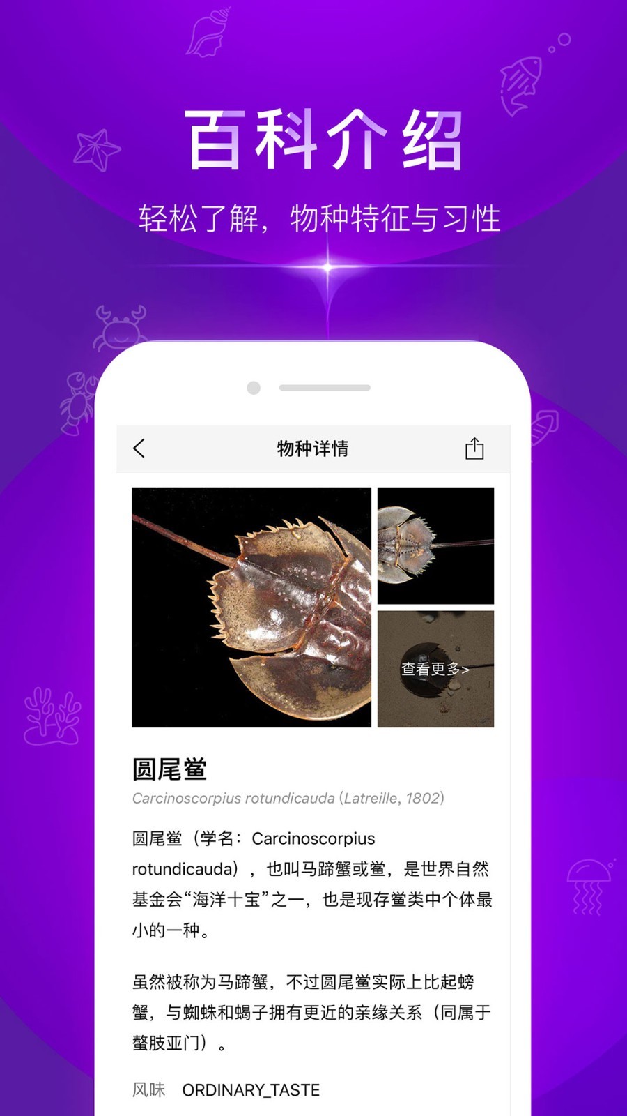 问鱼  v1.1.7图3