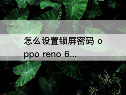 怎么设置锁屏密码 oppo reno 6怎么设置锁屏密码