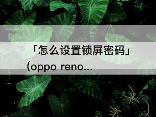 「怎么设置锁屏密码」(oppo reno 6怎么设置锁屏密码不显示)
