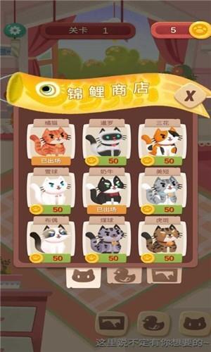 快给猫玩  v1.2图2