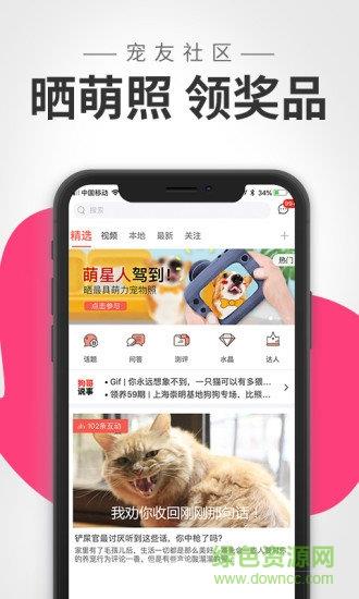 波奇奇宠物  v4.1.3图1