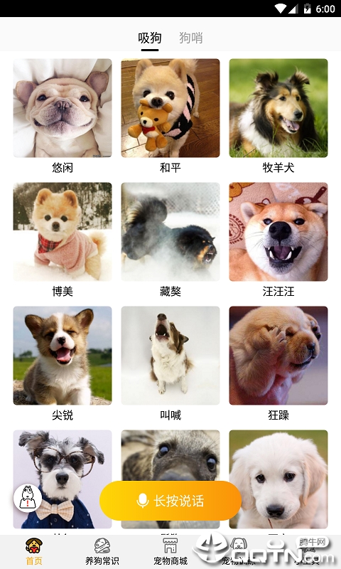 跑狗翻译  v1.1.6图1