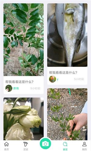 生活识物  v15.5图1