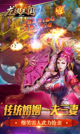 龙纹三国无限资源版