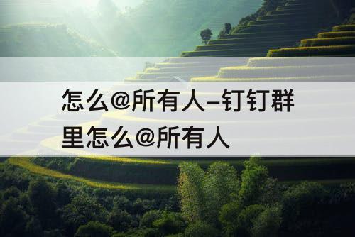 怎么@所有人-钉钉群里怎么@所有人
