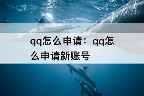 qq怎么申请：qq怎么申请新账号