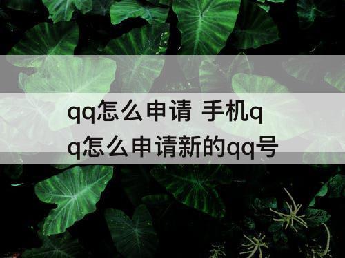 qq怎么申请 手机qq怎么申请新的qq号