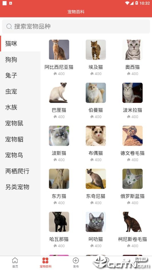 得宠  v2.0.5图1