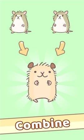 仓鼠跑跑跑(Hamster  v1.0图2