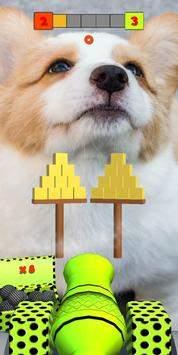 Dog  v1.1.4图2