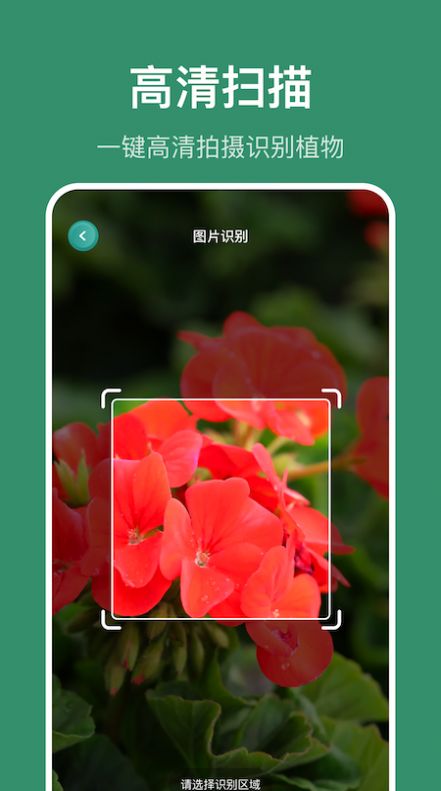 识花草  v1.1图3