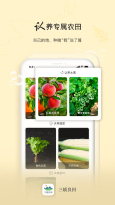 三顷良田  v1.0.1图3