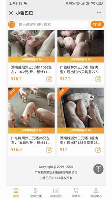 小猪巴巴  v0.0.3图1